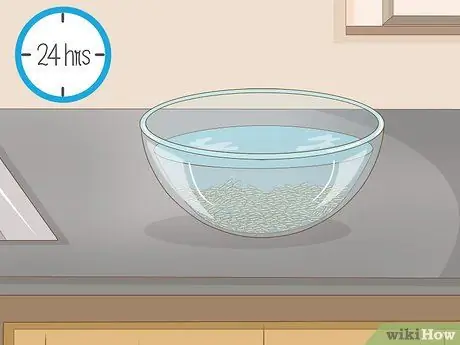 Посадить рис в помещении, шаг 2