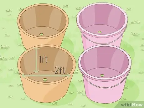 Посадить рис в помещении Шаг 4