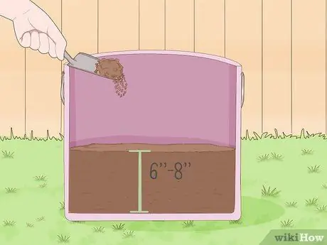 Посадить рис в помещении Шаг 6