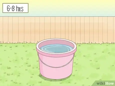 Посадить рис в помещении Шаг 9