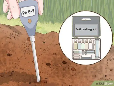 Уход за базиликом Шаг 5