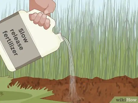 Уход за базиликом Шаг 6