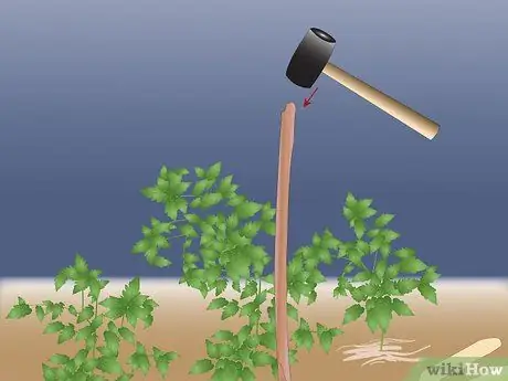 Ставить растение на стойку Шаг 2