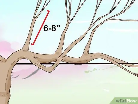 Prune Vines Шаг 12