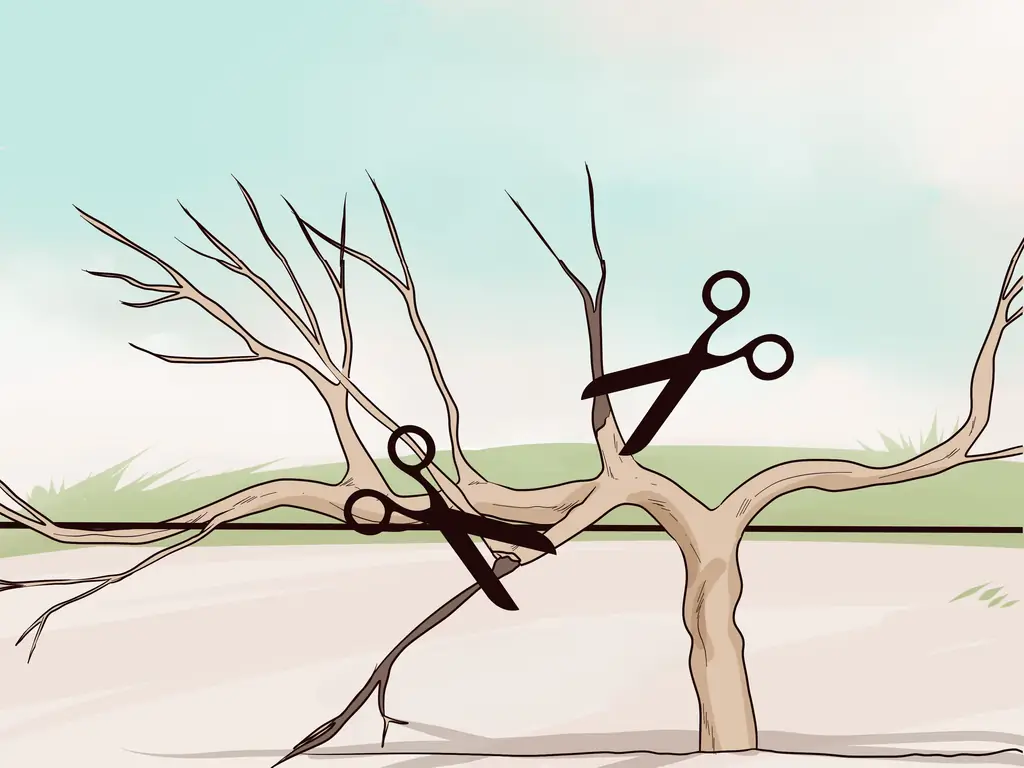 Как обрезать лозу: 14 шагов (с иллюстрациями)