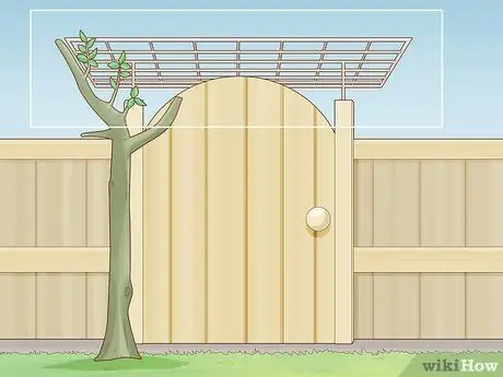 Prune Gate Vines Шаг 10