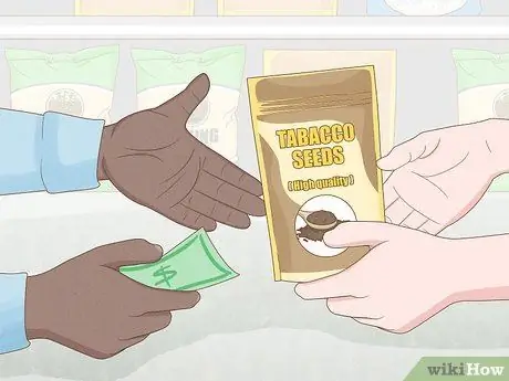 Выращивание табака внутри шага 4