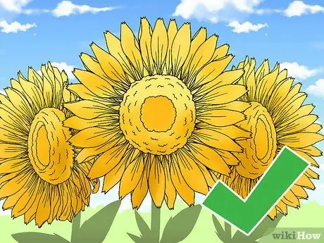 Сделать сад в башне Шаг 6