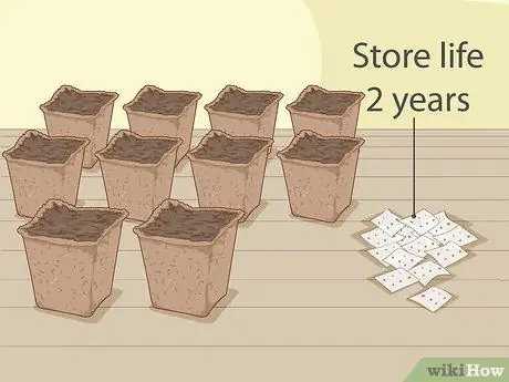 Посадить сад открытий Woolworths Шаг 8