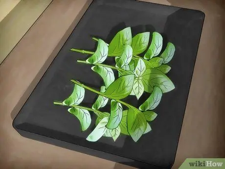 Посадить сад с кулинарными травами Шаг 13