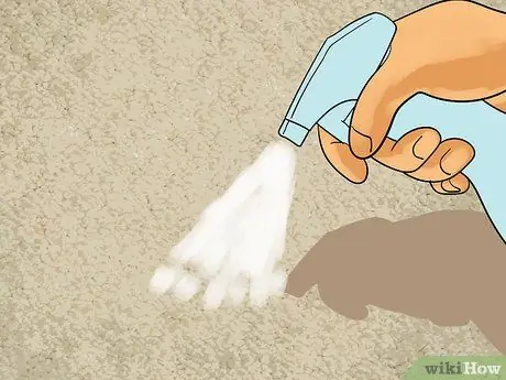 Используйте питомца Bissell Proheat Step 1