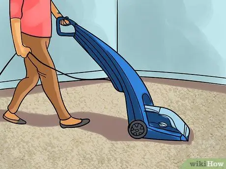 Используйте питомца Bissell Proheat Step 10