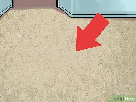 Используйте питомца Bissell Proheat Step 15