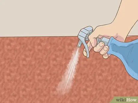 Deep Clean Carpet Step 12