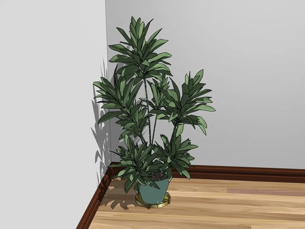 3 простых способа контролировать влажность в комнате