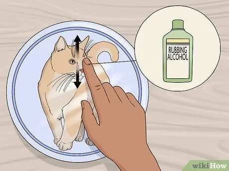 Перенос изображений на керамику. Шаг 16