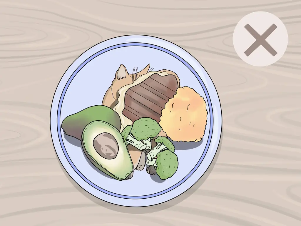 Простые способы переноса изображений на керамику (с изображениями)