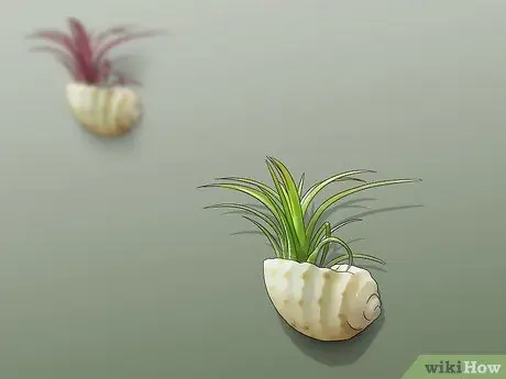 Украсьте дом, не тратя деньги Шаг 5