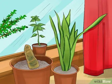 Украсьте арендованный дом Шаг 19
