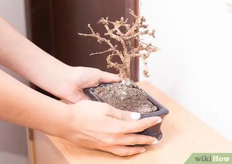 Прочтите карту багуа по фен-шуй, шаг 6