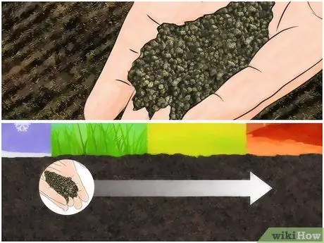 Удобрение цветов Шаг 10 Удобрение цветов Шаг 10