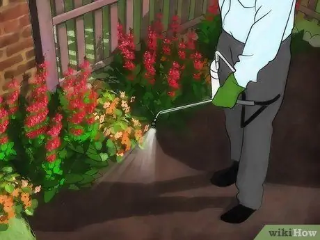 Удобрение цветов Шаг 15 Удобрение цветов Шаг 15