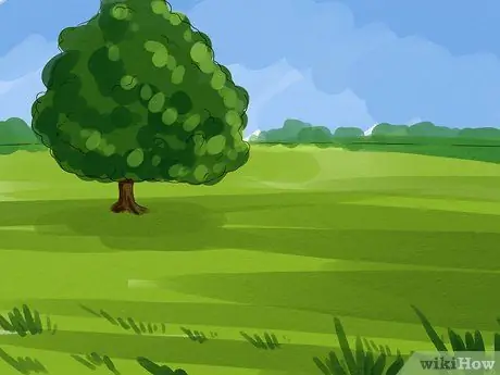 Постройте англосаксонский дом Шаг 2