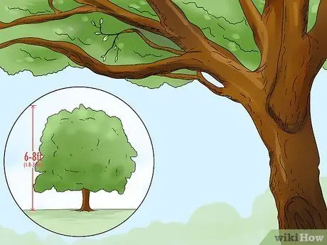 Защитите свой дом от солнечного тепла Шаг 10