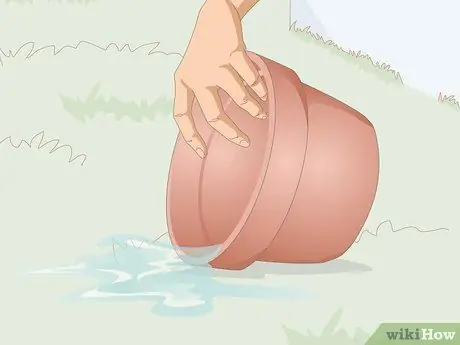 Избавиться от комаров на кухне Шаг 12