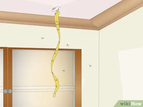 Избавиться от комаров на кухне Шаг 4