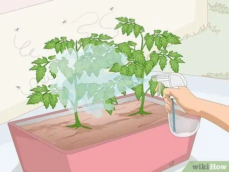 Избавиться от комаров на кухне Шаг 5