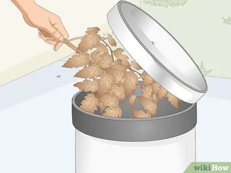 Избавиться от комаров на кухне Шаг 9