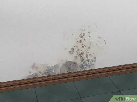 Обнаружение утечек воды в стенах Шаг 4