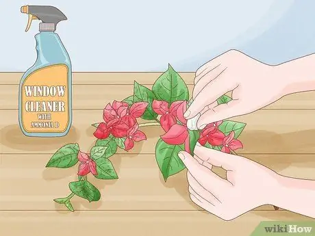 Чистые поддельные растения Шаг 7 Чистые поддельные растения Шаг 7
