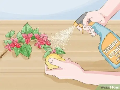 Чистые поддельные растения Шаг 8 Чистые поддельные растения Шаг 8