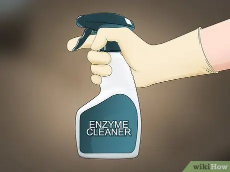 Чистая моча с дивана, шаг 11