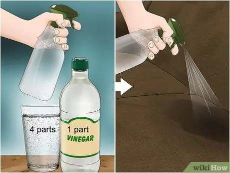 Чистая моча с дивана, шаг 2