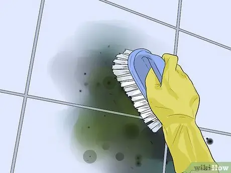 Чистый Mold Off Бетонный Шаг 3