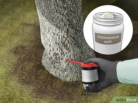 Избавьтесь от ошибок Boxelder за пределами шага 2