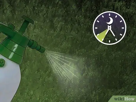 Убить дерьмовых веб-червей, шаг 4