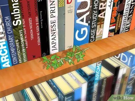 Естественно, держите серебрянных рыбок подальше от книг, шаг 2 Естественно, держите серебрянных рыбок подальше от книг, шаг 2