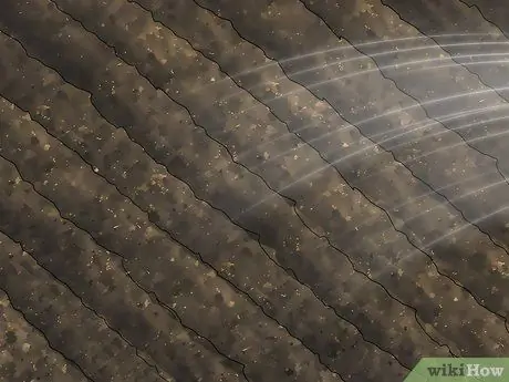 Убить нематод, шаг 2