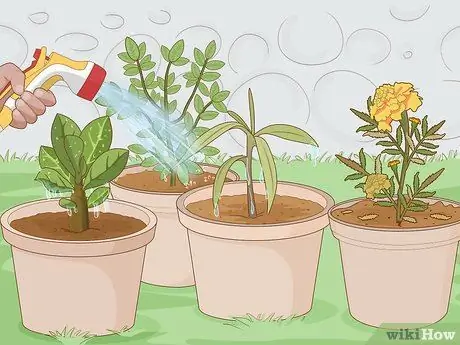 Избавиться от растительных клещей Шаг 8