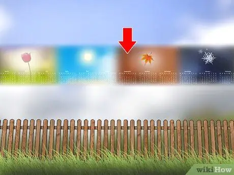 Нанесите Milky Spore Step 1
