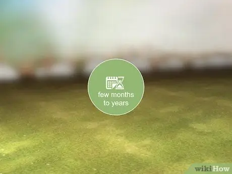 Нанесите Milky Spore Step 6