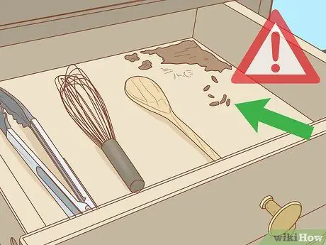 Предотвратить заражение крыс Шаг 10 Предотвратить заражение крыс Шаг 10