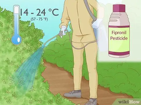 Борьба с саранчой, шаг 2