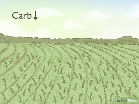 Борьба с саранчой Шаг 9