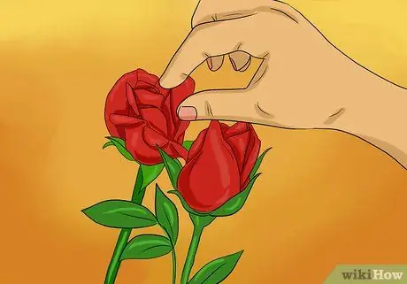 Сохраняйте лепестки роз свежими Шаг 5