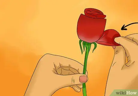 Сохраняйте лепестки роз свежими Шаг 6